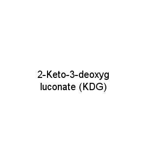 2-Keto-3-deoxygluconate (KDG)